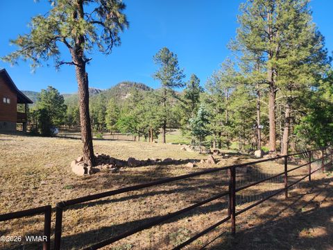 Tiny photo for 54 1st N Street, Alpine, AZ 85920 (MLS # 261677)