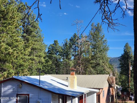 Tiny photo for 54 1st N Street, Alpine, AZ 85920 (MLS # 261677)