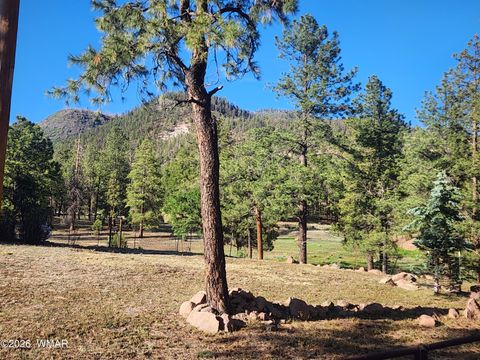 Tiny photo for 54 1st N Street, Alpine, AZ 85920 (MLS # 261677)