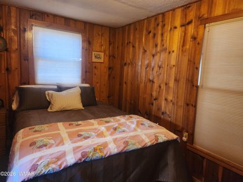Tiny photo for 54 1st N Street, Alpine, AZ 85920 (MLS # 261677)