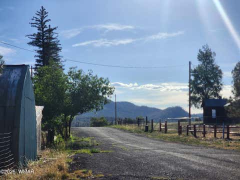 Tiny photo for 54 1st N Street, Alpine, AZ 85920 (MLS # 261677)