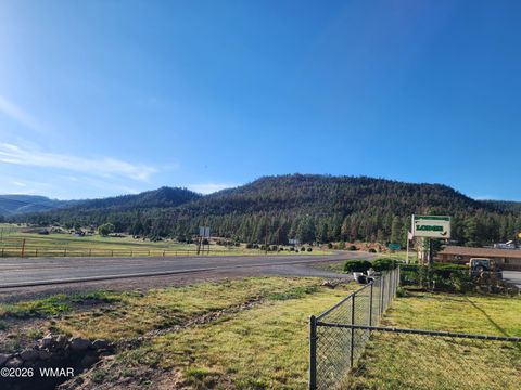 Tiny photo for 54 1st N Street, Alpine, AZ 85920 (MLS # 261677)