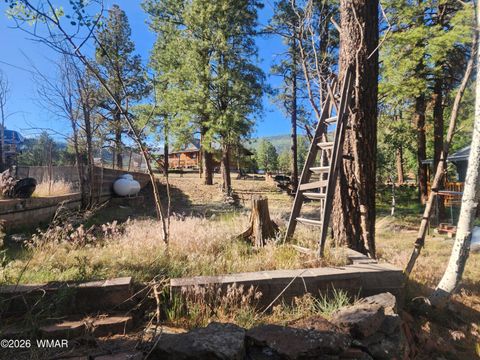 Tiny photo for 54 1st N Street, Alpine, AZ 85920 (MLS # 261677)