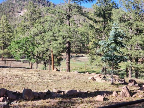 Tiny photo for 54 1st N Street, Alpine, AZ 85920 (MLS # 261677)