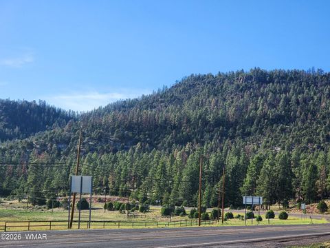Tiny photo for 54 1st N Street, Alpine, AZ 85920 (MLS # 261677)