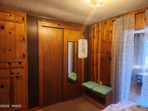 Tiny photo for 54 1st N Street, Alpine, AZ 85920 (MLS # 261677)