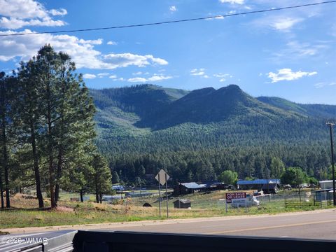 Tiny photo for 54 1st N Street, Alpine, AZ 85920 (MLS # 261677)