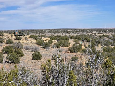 Photo of 5827 Watermelon Drive, Heber, AZ 85928 (MLS # 259797)