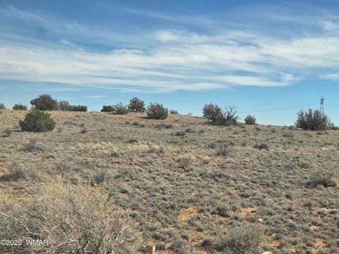 Tiny photo for 5827 Watermelon Drive, Heber, AZ 85928 (MLS # 259797)