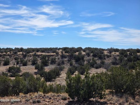 Tiny photo for 5827 Watermelon Drive, Heber, AZ 85928 (MLS # 259797)