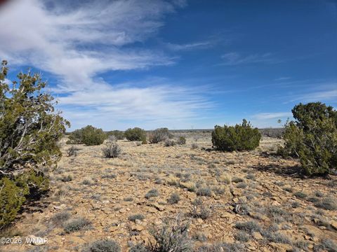 Tiny photo for 5827 Watermelon Drive, Heber, AZ 85928 (MLS # 259797)