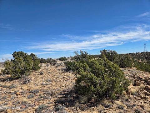 Tiny photo for 5827 Watermelon Drive, Heber, AZ 85928 (MLS # 259797)