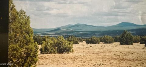 Tiny photo for 14 N3111, Vernon, AZ 85940 (MLS # 258960)