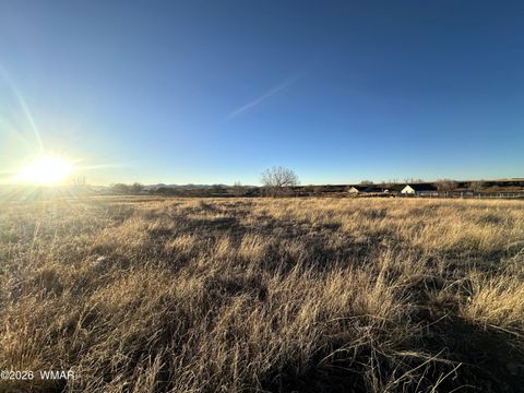 Tiny photo for TBD 3RD PLACE LOT 125, Eagar, AZ 85925 (MLS # 259283)