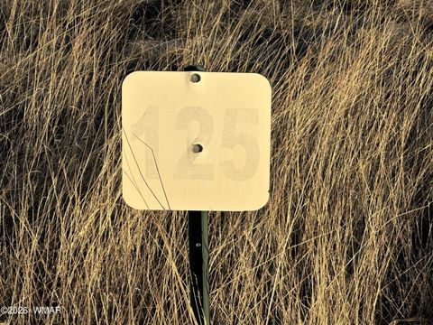 Tiny photo for TBD 3RD PLACE LOT 125, Eagar, AZ 85925 (MLS # 259283)