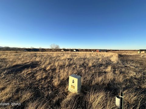 Tiny photo for TBD 3RD PLACE LOT 125, Eagar, AZ 85925 (MLS # 259283)