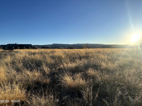 Tiny photo for TBD 3RD PLACE LOT 125, Eagar, AZ 85925 (MLS # 259283)