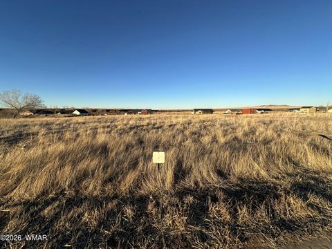 Tiny photo for TBD 3RD PLACE LOT 125, Eagar, AZ 85925 (MLS # 259283)