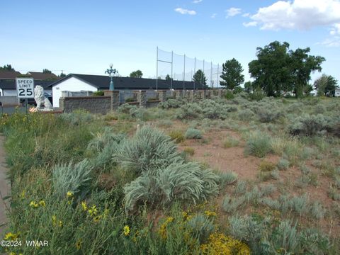 Tiny photo for TBD #138 Lyon Gate Drive Dr, Snowflake, AZ 85937 (MLS # 253886)