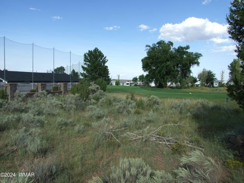 Tiny photo for TBD #138 Lyon Gate Drive Dr, Snowflake, AZ 85937 (MLS # 253886)