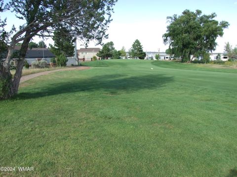 Tiny photo for TBD #138 Lyon Gate Drive Dr, Snowflake, AZ 85937 (MLS # 253886)
