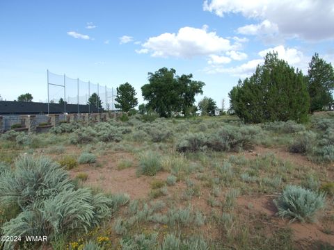 Photo of TBD #138 Lyon Gate Drive Dr, Snowflake, AZ 85937 (MLS # 253886)
