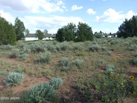 Tiny photo for TBD #138 Lyon Gate Drive Dr, Snowflake, AZ 85937 (MLS # 253886)