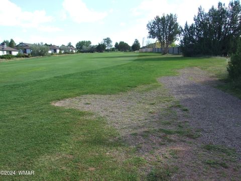 Tiny photo for TBD #138 Lyon Gate Drive Dr, Snowflake, AZ 85937 (MLS # 253886)