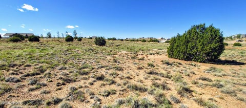 Tiny photo for 1190 S Haystack Road, Taylor, AZ 85939 (MLS # 260519)