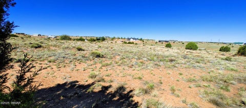 Tiny photo for 1190 S Haystack Road, Taylor, AZ 85939 (MLS # 260519)
