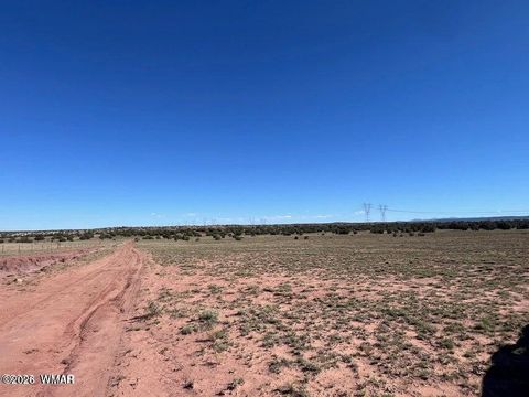 Tiny photo for 005 N9119, Concho, AZ 85924 (MLS # 259175)