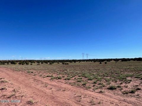 Tiny photo for 005 N9119, Concho, AZ 85924 (MLS # 259175)