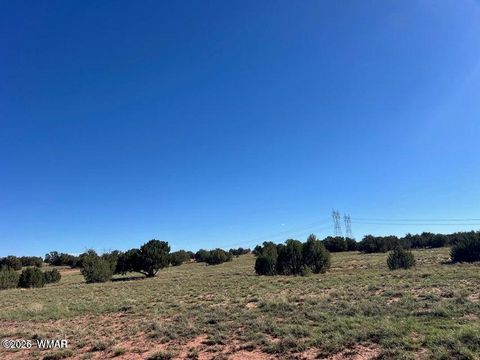 Tiny photo for 005 N9119, Concho, AZ 85924 (MLS # 259175)