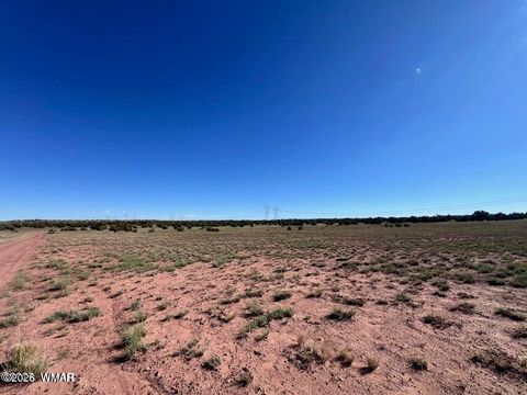 Tiny photo for 005 N9119, Concho, AZ 85924 (MLS # 259175)