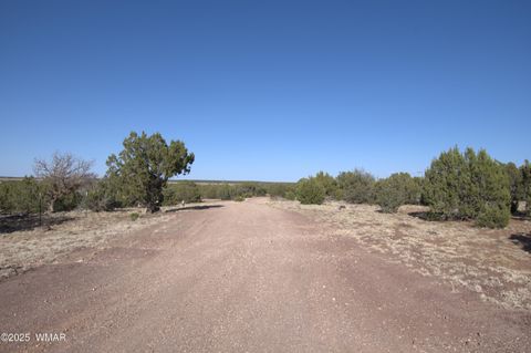 Tiny photo for TBD Lot 14 A Bonito Dr, Show Low, AZ 85901 (MLS # 256608)
