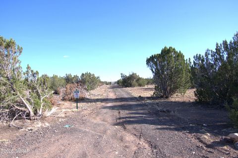 Tiny photo for TBD Lot 14 A Bonito Dr, Show Low, AZ 85901 (MLS # 256608)