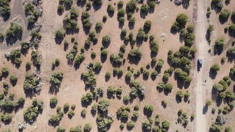 Tiny photo for TBD Lot 14 A Bonito Dr, Show Low, AZ 85901 (MLS # 256608)