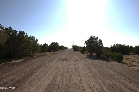 Tiny photo for TBD Lot 14 A Bonito Dr, Show Low, AZ 85901 (MLS # 256608)