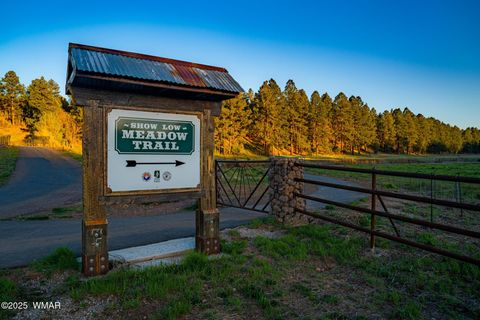 Tiny photo for TBD Lot 14 A Bonito Dr, Show Low, AZ 85901 (MLS # 256608)