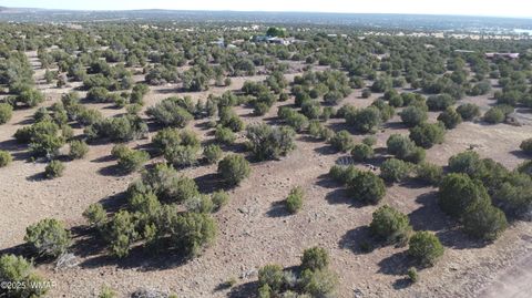 Tiny photo for TBD Lot 14 A Bonito Dr, Show Low, AZ 85901 (MLS # 256608)