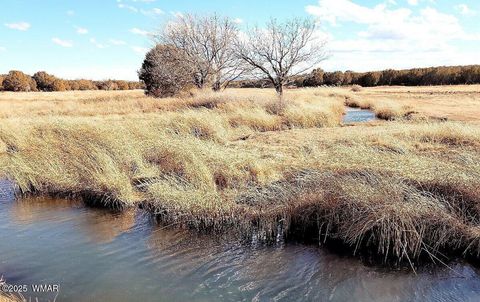 Tiny photo for TBD Lot 14 A Bonito Dr, Show Low, AZ 85901 (MLS # 256608)