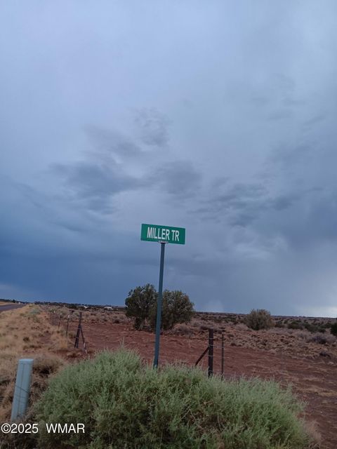 Tiny photo for 5324 White Antelope Road, Snowflake, AZ 85937 (MLS # 257793)