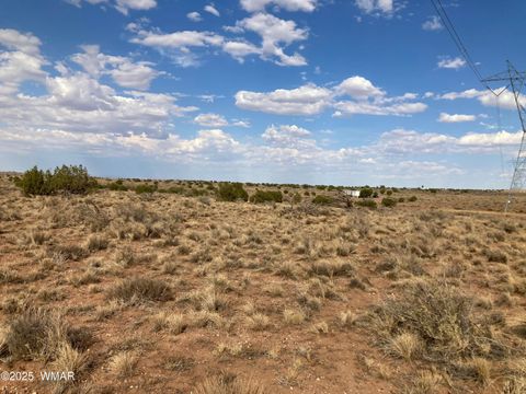 Tiny photo for 5324 White Antelope Road, Snowflake, AZ 85937 (MLS # 257793)