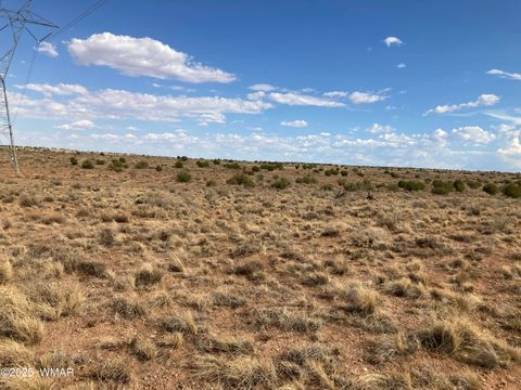 Tiny photo for 5324 White Antelope Road, Snowflake, AZ 85937 (MLS # 257793)