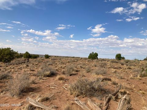 Tiny photo for 5324 White Antelope Road, Snowflake, AZ 85937 (MLS # 257793)
