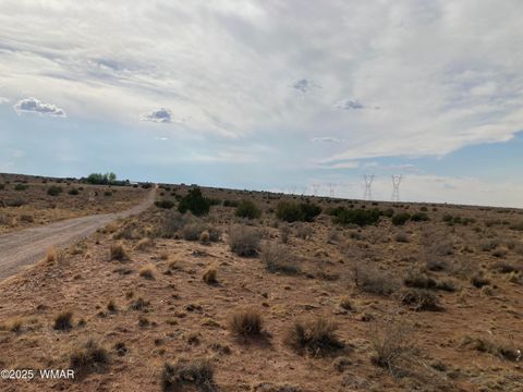 Tiny photo for 5324 White Antelope Road, Snowflake, AZ 85937 (MLS # 257793)