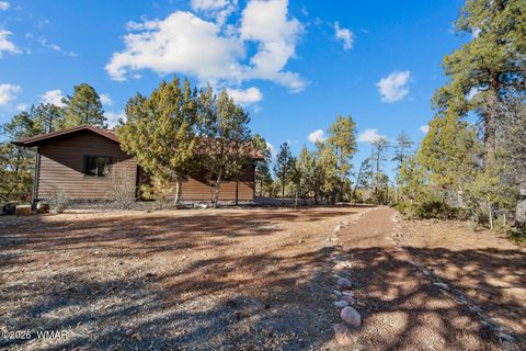 Tiny photo for 3281 W Falling Leaf Road, Show Low, AZ 85901 (MLS # 259494)