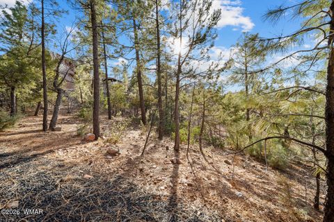 Tiny photo for 3281 W Falling Leaf Road, Show Low, AZ 85901 (MLS # 259494)