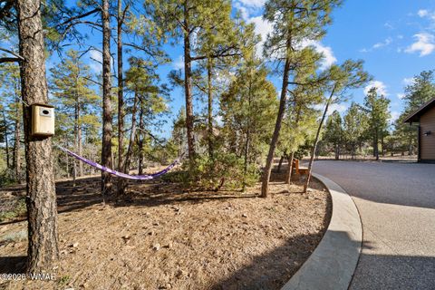 Tiny photo for 3281 W Falling Leaf Road, Show Low, AZ 85901 (MLS # 259494)