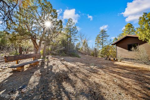 Tiny photo for 3281 W Falling Leaf Road, Show Low, AZ 85901 (MLS # 259494)